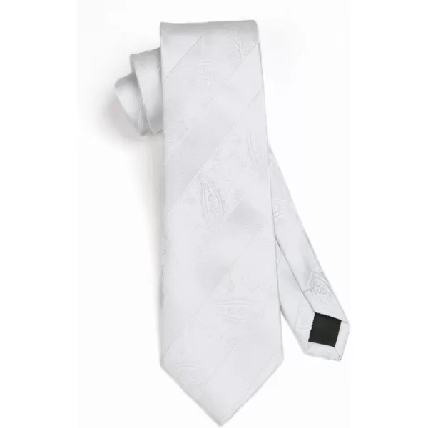 HISDERN Paisley Ties for Men Solid Tie Handkerchief Floral Men's Necktie &amp; Pocket Square Set Wedding Classic Mens Ties