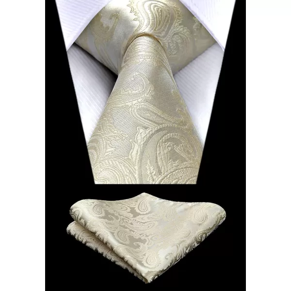 HISDERN Paisley Ties for Men Solid Tie Handkerchief Floral Men's Necktie &amp; Pocket Square Set Wedding Classic Mens Ties