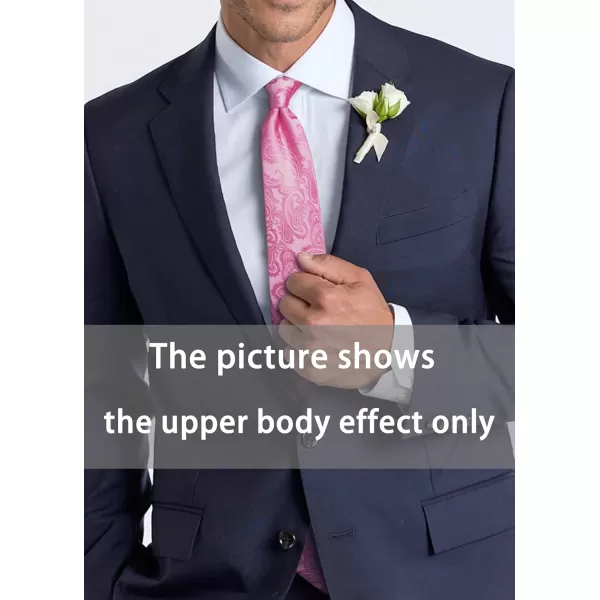 HISDERN Paisley Ties for Men Solid Tie Handkerchief Floral Men's Necktie &amp; Pocket Square Set Wedding Classic Mens Ties