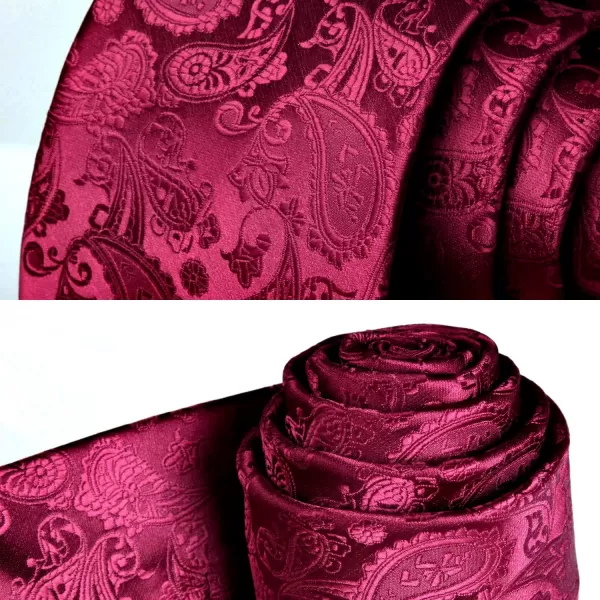 HISDERN Paisley Ties for Men Solid Tie Handkerchief Floral Men's Necktie &amp; Pocket Square Set Wedding Classic Mens Ties