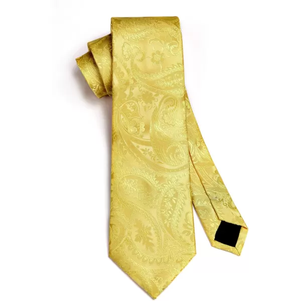 HISDERN Paisley Ties for Men Solid Tie Handkerchief Floral Men's Necktie &amp; Pocket Square Set Wedding Classic Mens Ties
