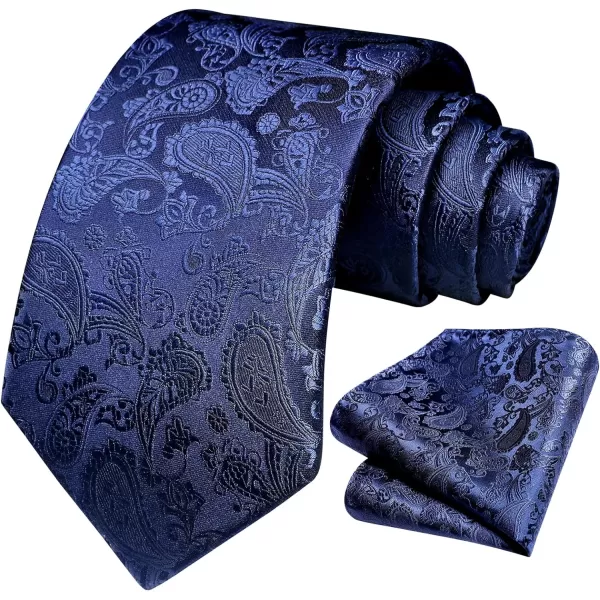 HISDERN Paisley Ties for Men Solid Tie Handkerchief Floral Men's Necktie &amp; Pocket Square Set Wedding Classic Mens Ties