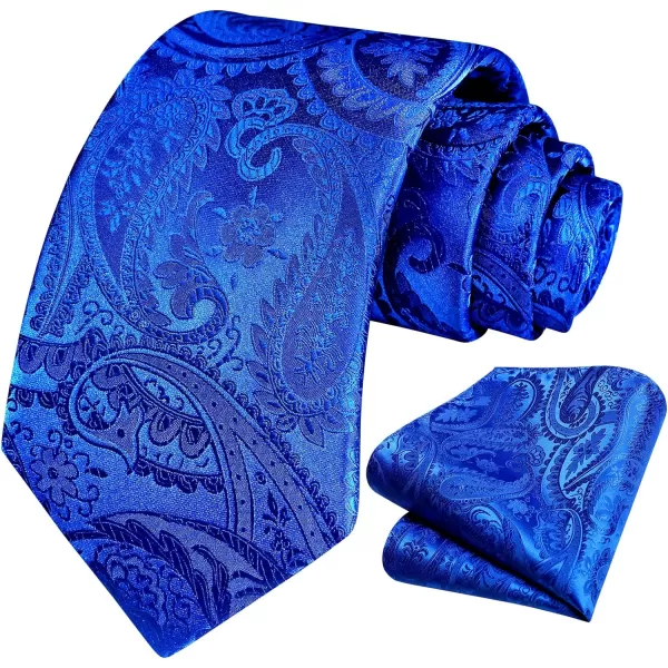 HISDERN Paisley Ties for Men Solid Tie Handkerchief Floral Men's Necktie &amp; Pocket Square Set Wedding Classic Mens Ties