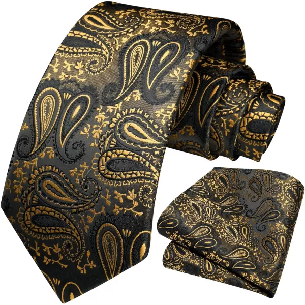 HISDERN Paisley Ties for Men Solid Tie Handkerchief Floral Men's Necktie &amp; Pocket Square Set Wedding Classic Mens Ties