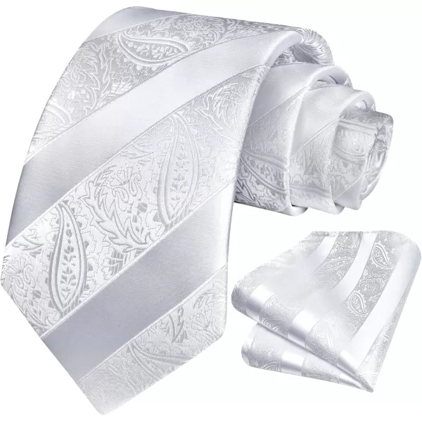 HISDERN Paisley Ties for Men Solid Tie Handkerchief Floral Men's Necktie &amp; Pocket Square Set Wedding Classic Mens Ties