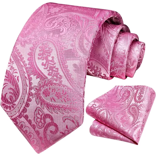 HISDERN Paisley Ties for Men Solid Tie Handkerchief Floral Men's Necktie &amp; Pocket Square Set Wedding Classic Mens Ties