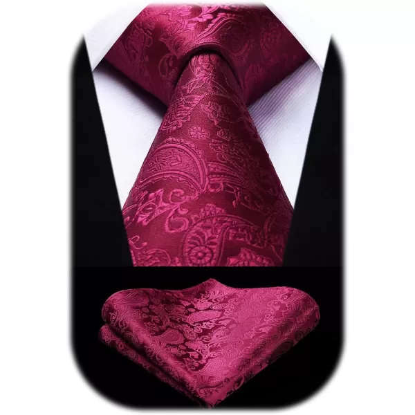 HISDERN Paisley Ties for Men Solid Tie Handkerchief Floral Men's Necktie &amp; Pocket Square Set Wedding Classic Mens Ties