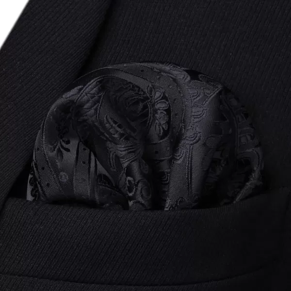 HISDERN Paisley Ties for Men Solid Tie Handkerchief Floral Men's Necktie &amp; Pocket Square Set Wedding Classic Mens Ties