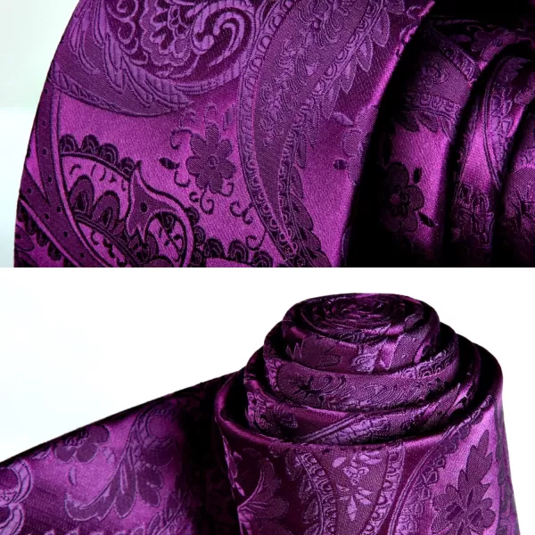 HISDERN Paisley Ties for Men Solid Tie Handkerchief Floral Men's Necktie &amp; Pocket Square Set Wedding Classic Mens Ties