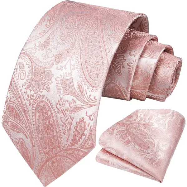 HISDERN Paisley Ties for Men Solid Tie Handkerchief Floral Men's Necktie &amp; Pocket Square Set Wedding Classic Mens Ties