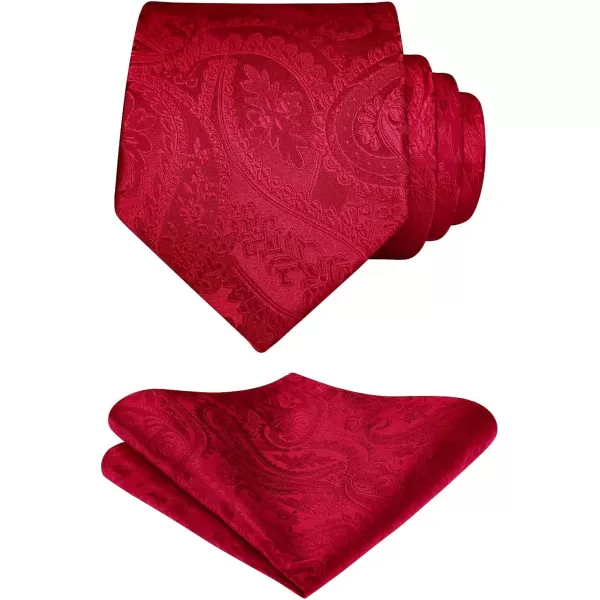 HISDERN Paisley Ties for Men Solid Tie Handkerchief Floral Men's Necktie &amp; Pocket Square Set Wedding Classic Mens Ties
