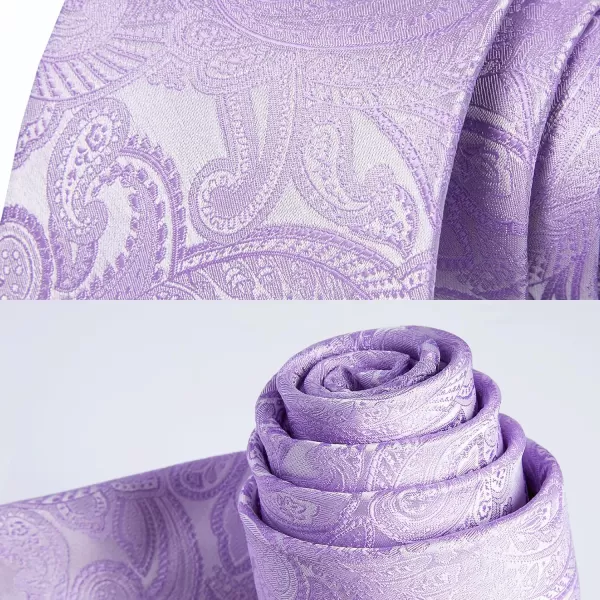 HISDERN Paisley Ties for Men Solid Tie Handkerchief Floral Men's Necktie &amp; Pocket Square Set Wedding Classic Mens Ties