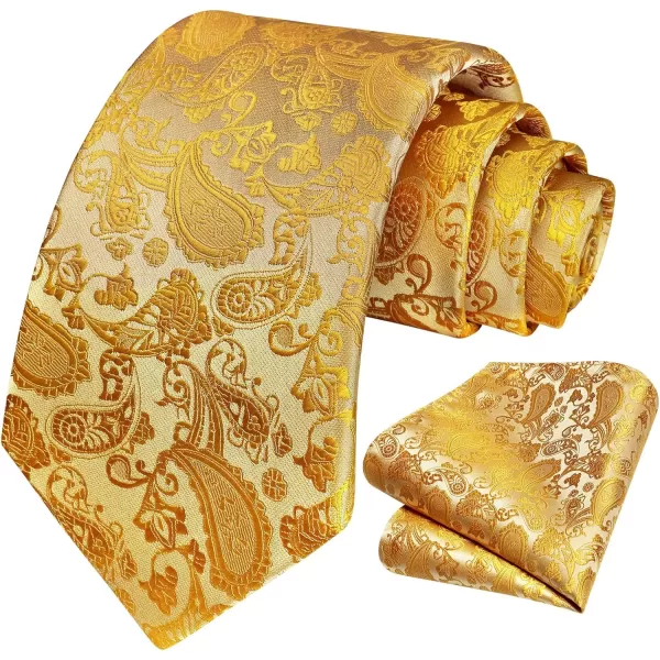 HISDERN Paisley Ties for Men Solid Tie Handkerchief Floral Men's Necktie &amp; Pocket Square Set Wedding Classic Mens Ties