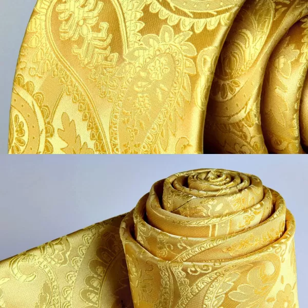 HISDERN Paisley Ties for Men Solid Tie Handkerchief Floral Men's Necktie &amp; Pocket Square Set Wedding Classic Mens Ties