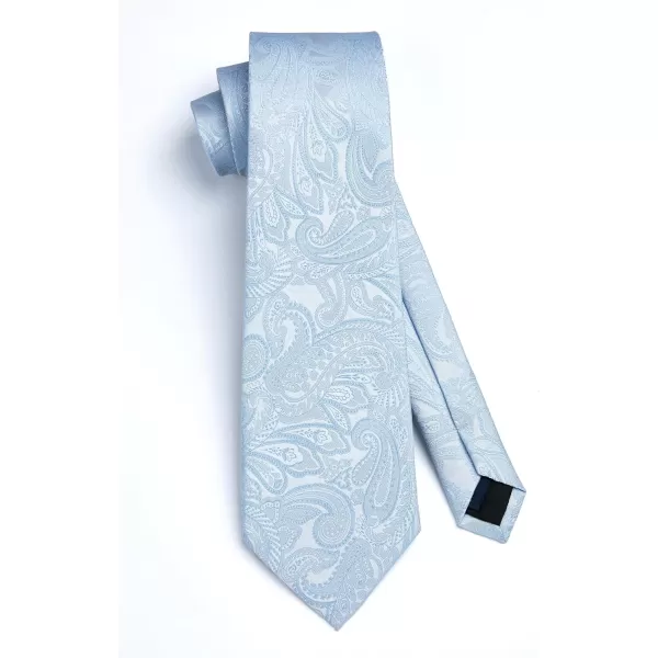 HISDERN Paisley Ties for Men Solid Tie Handkerchief Floral Men's Necktie &amp; Pocket Square Set Wedding Classic Mens Ties