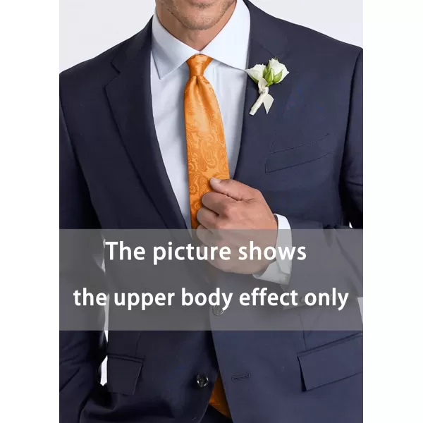 HISDERN Paisley Ties for Men Solid Tie Handkerchief Floral Men's Necktie &amp; Pocket Square Set Wedding Classic Mens Ties