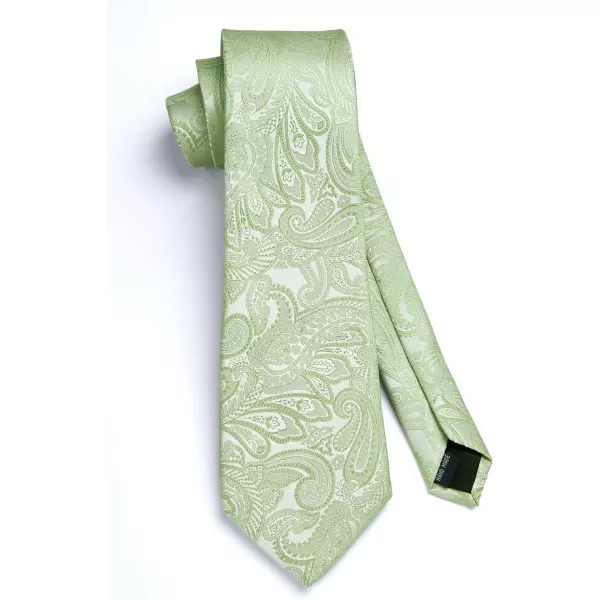 HISDERN Paisley Ties for Men Solid Tie Handkerchief Floral Men's Necktie &amp; Pocket Square Set Wedding Classic Mens Ties