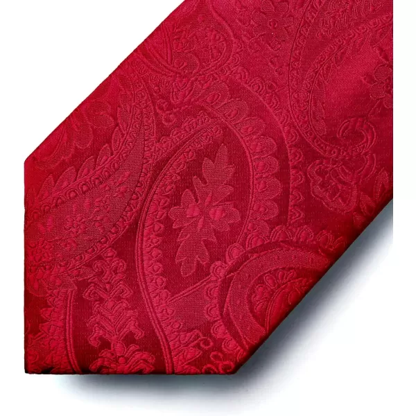 HISDERN Paisley Ties for Men Solid Tie Handkerchief Floral Men's Necktie &amp; Pocket Square Set Wedding Classic Mens Ties