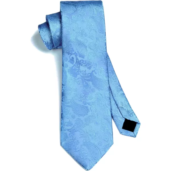 HISDERN Paisley Ties for Men Solid Tie Handkerchief Floral Men's Necktie &amp; Pocket Square Set Wedding Classic Mens Ties