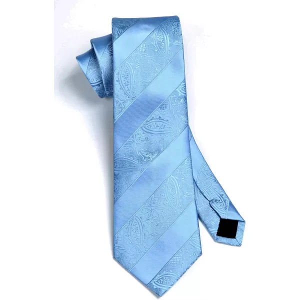 HISDERN Paisley Ties for Men Solid Tie Handkerchief Floral Men's Necktie &amp; Pocket Square Set Wedding Classic Mens Ties