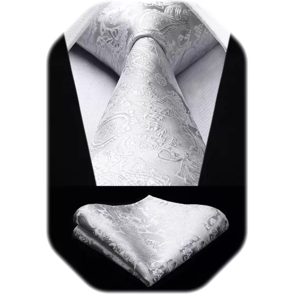 HISDERN Paisley Ties for Men Solid Tie Handkerchief Floral Men's Necktie &amp; Pocket Square Set Wedding Classic Mens Ties