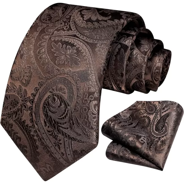 HISDERN Paisley Ties for Men Solid Tie Handkerchief Floral Men's Necktie &amp; Pocket Square Set Wedding Classic Mens Ties
