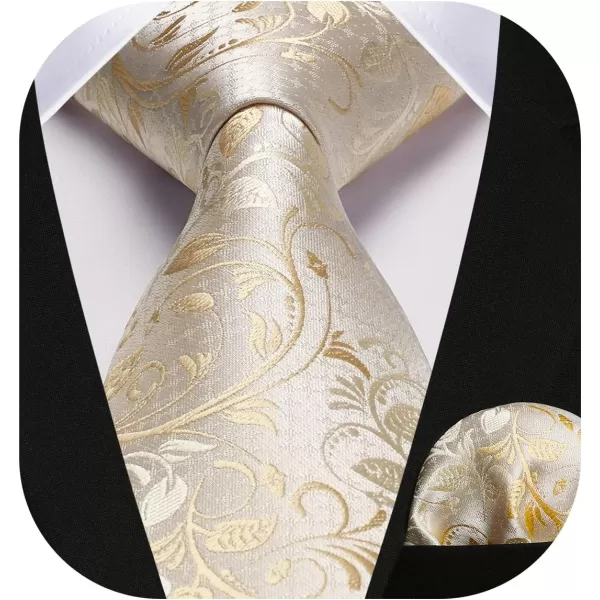 HISDERN Paisley Ties for Men Solid Tie Handkerchief Floral Men's Necktie &amp; Pocket Square Set Wedding Classic Mens Ties