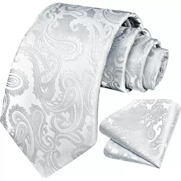 HISDERN Paisley Ties for Men Solid Tie Handkerchief Floral Men's Necktie &amp; Pocket Square Set Wedding Classic Mens Ties