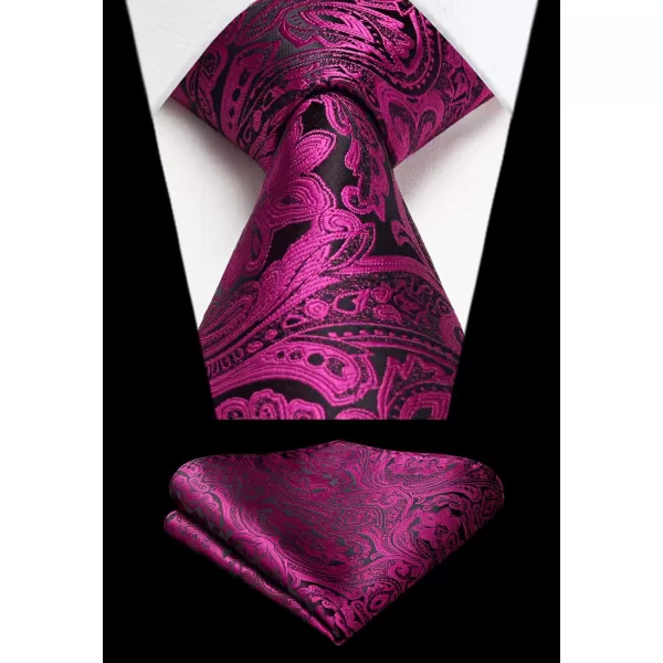 HISDERN Paisley Ties for Men Solid Tie Handkerchief Floral Men's Necktie &amp; Pocket Square Set Wedding Classic Mens Ties