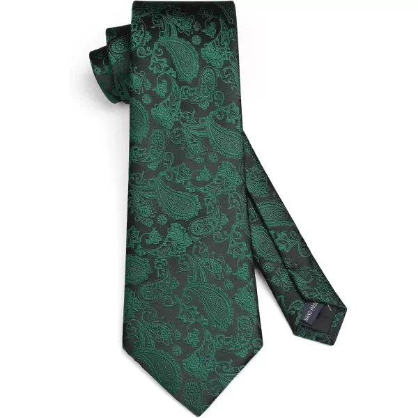 HISDERN Paisley Ties for Men Solid Tie Handkerchief Floral Men's Necktie &amp; Pocket Square Set Wedding Classic Mens Ties