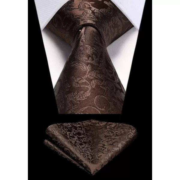 HISDERN Paisley Ties for Men Solid Tie Handkerchief Floral Men's Necktie &amp; Pocket Square Set Wedding Classic Mens Ties