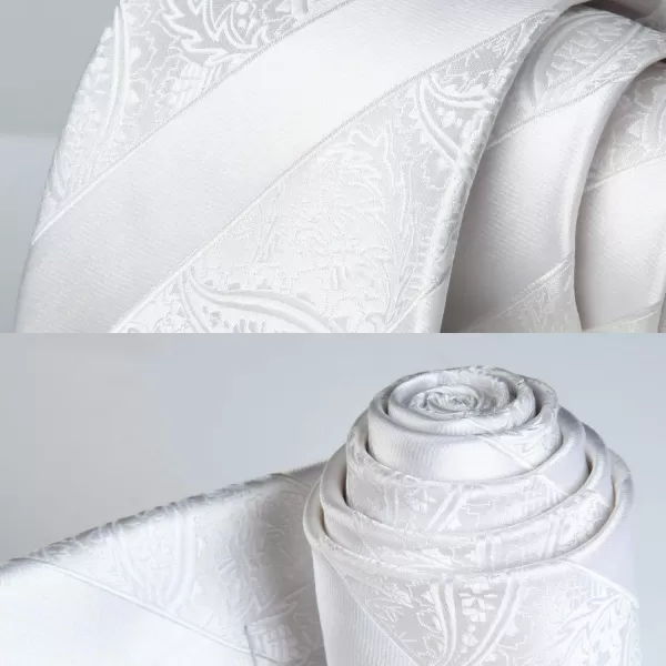 HISDERN Paisley Ties for Men Solid Tie Handkerchief Floral Men's Necktie &amp; Pocket Square Set Wedding Classic Mens Ties