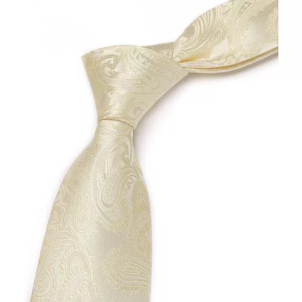 HISDERN Paisley Ties for Men Solid Tie Handkerchief Floral Men's Necktie &amp; Pocket Square Set Wedding Classic Mens Ties