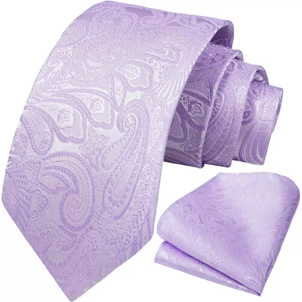 HISDERN Paisley Ties for Men Solid Tie Handkerchief Floral Men's Necktie &amp; Pocket Square Set Wedding Classic Mens Ties