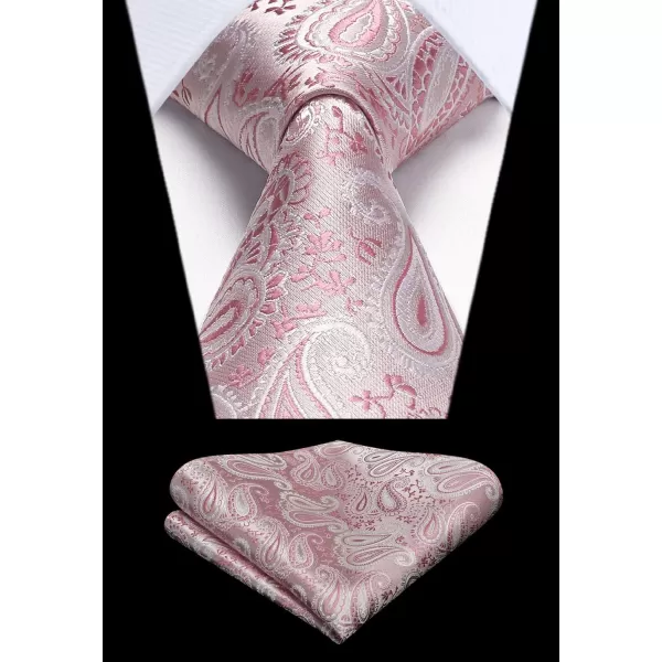 HISDERN Paisley Ties for Men Solid Tie Handkerchief Floral Men's Necktie &amp; Pocket Square Set Wedding Classic Mens Ties