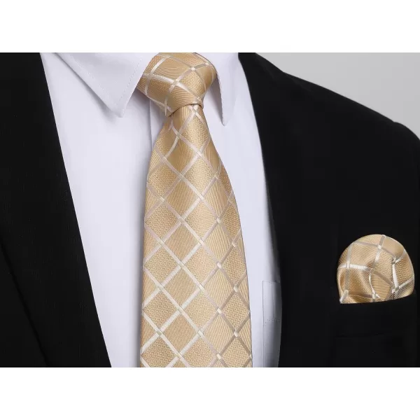 HISDERN Plaid Checkered Tie Handkerchief Woven Classic Formal Men's Necktie &amp; Pocket Square Set