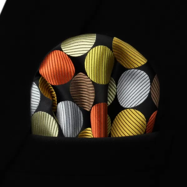 HISDERN Polka Dot Ties for Men Handkerchief Woven Classic Silk Mens Ties and Pocket Square Set Wedding Business