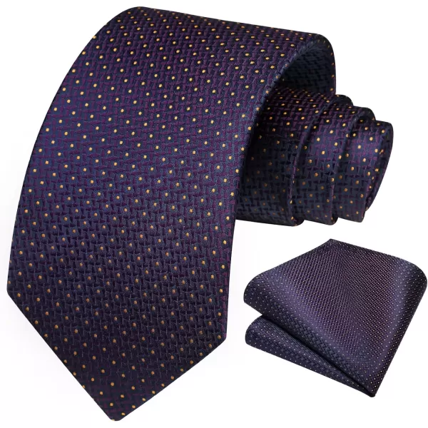 HISDERN Polka Dot Ties for Men Handkerchief Woven Classic Silk Mens Ties and Pocket Square Set Wedding Business