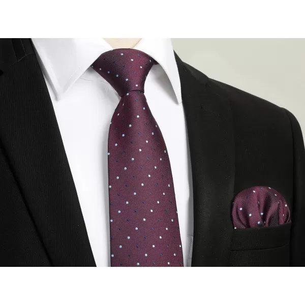 HISDERN Polka Dot Ties for Men Handkerchief Woven Classic Silk Mens Ties and Pocket Square Set Wedding Business