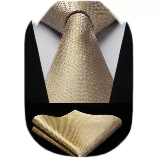 HISDERN Polka Dot Ties for Men Handkerchief Woven Classic Silk Mens Ties and Pocket Square Set Wedding Business
