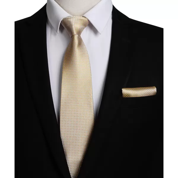 HISDERN Polka Dot Ties for Men Handkerchief Woven Classic Silk Mens Ties and Pocket Square Set Wedding Business