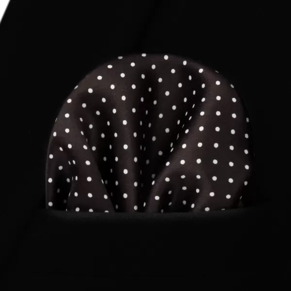 HISDERN Polka Dot Ties for Men Handkerchief Woven Classic Silk Mens Ties and Pocket Square Set Wedding Business
