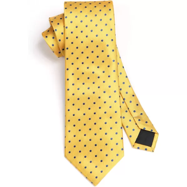 HISDERN Polka Dot Ties for Men Handkerchief Woven Classic Silk Mens Ties and Pocket Square Set Wedding Business