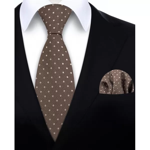 HISDERN Polka Dot Ties for Men Handkerchief Woven Classic Silk Mens Ties and Pocket Square Set Wedding Business