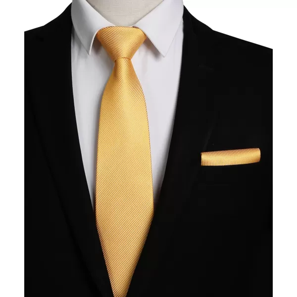 HISDERN Stripe Tie Mens Ties with Pocket Square Set Classic 3.4'' Silk Formal Necktie Handkerchief for Business Wedding