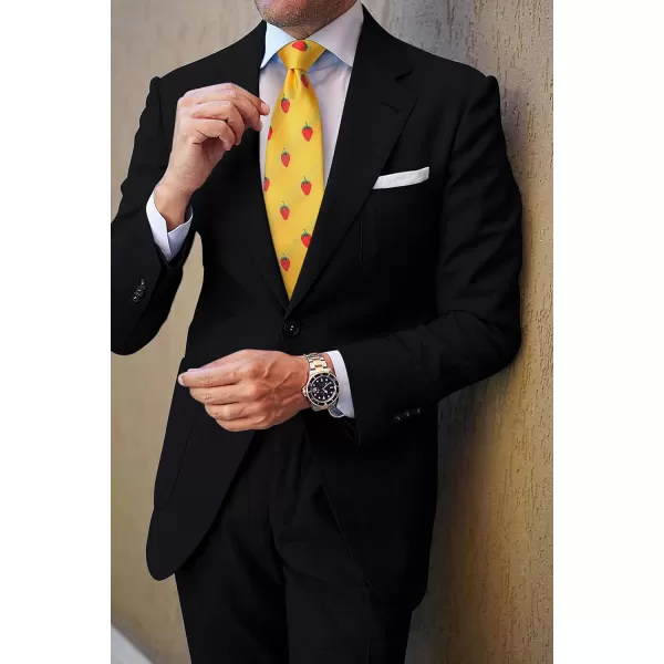 HISDERN Ties for Men Classic Animal Tie and Pocket Square Set Jacquard Woven Silk Neckties Handkerchief Wedding Party