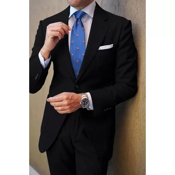 HISDERN Ties for Men Classic Animal Tie and Pocket Square Set Jacquard Woven Silk Neckties Handkerchief Wedding Party