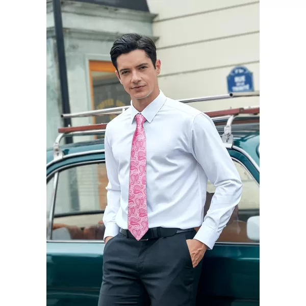 HISDERN Ties for Men Paisley Floral Tie Handkerchief Classic Woven Business Formal Necktie and Pocket Square Set Wedding
