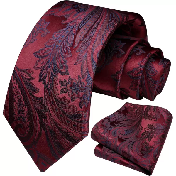 HISDERN Ties for Men Paisley Floral Tie Handkerchief Classic Woven Business Formal Necktie and Pocket Square Set Wedding