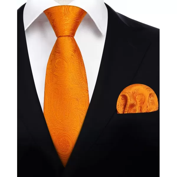 HISDERN Ties for Men Paisley Floral Tie Handkerchief Classic Woven Business Formal Necktie and Pocket Square Set Wedding
